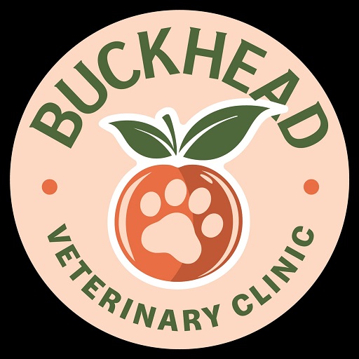 Buckhead Veterinary Clinic